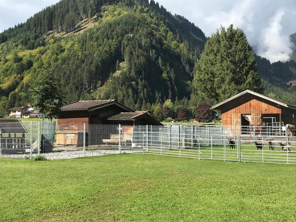 Pony-Ziegen-Hasen-Ranch Bichlbach Lägenhet Exteriör bild