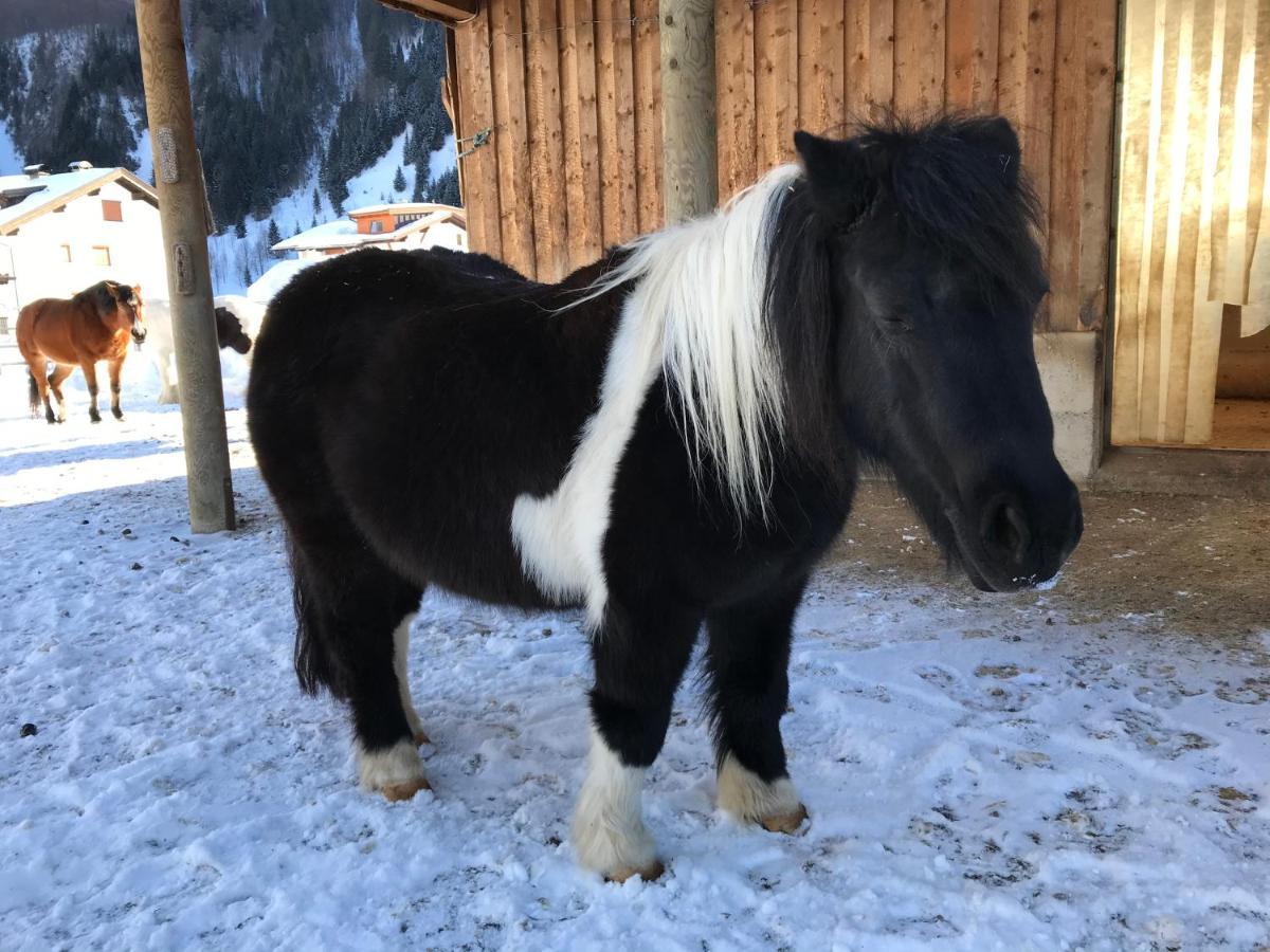 Pony-Ziegen-Hasen-Ranch Bichlbach Lägenhet Exteriör bild