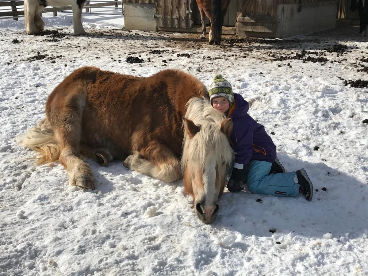 Pony-Ziegen-Hasen-Ranch Bichlbach Lägenhet Exteriör bild