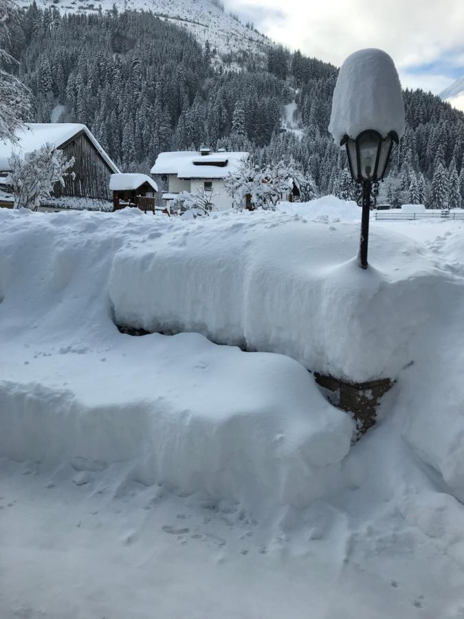 Pony-Ziegen-Hasen-Ranch Bichlbach Lägenhet Exteriör bild