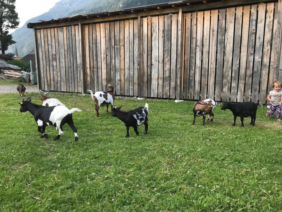 Pony-Ziegen-Hasen-Ranch Bichlbach Lägenhet Exteriör bild