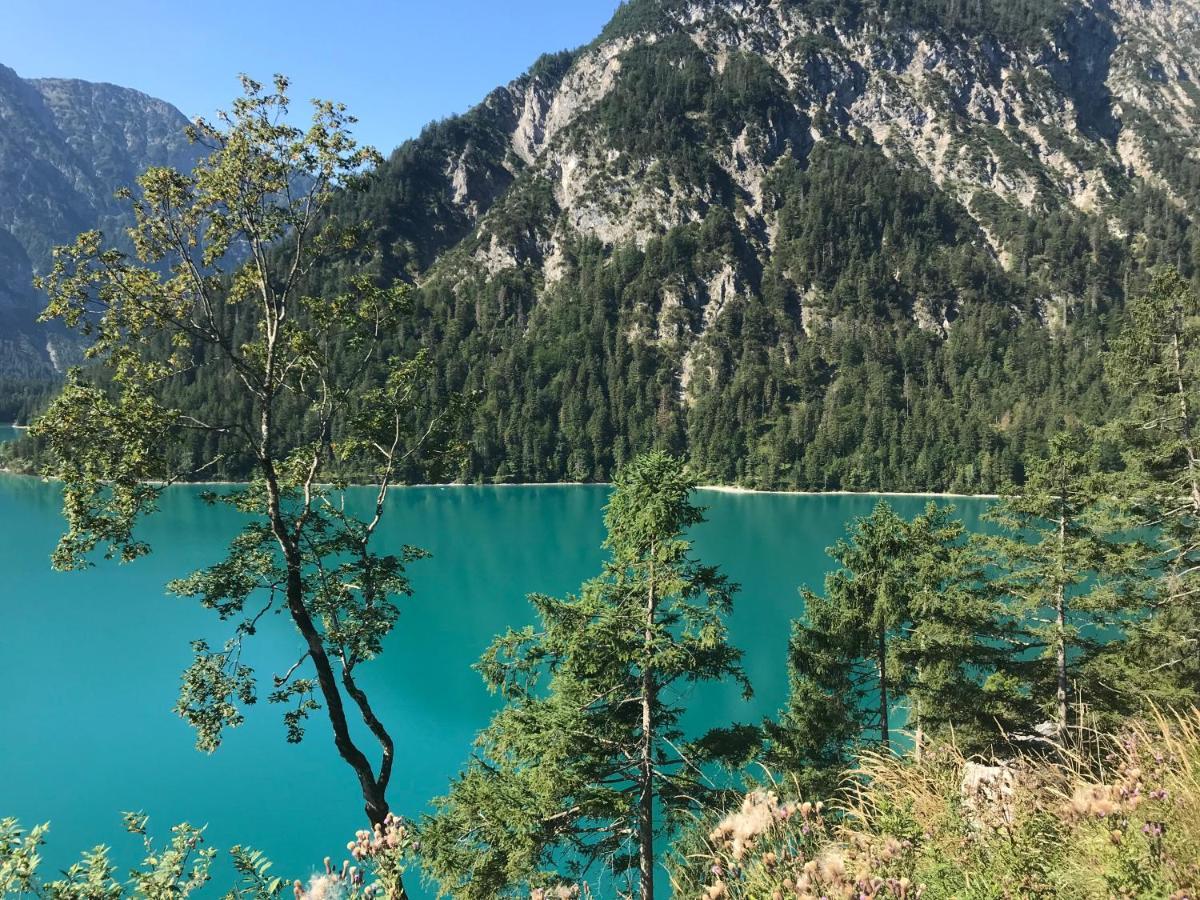 Pony-Ziegen-Hasen-Ranch Bichlbach Lägenhet Exteriör bild