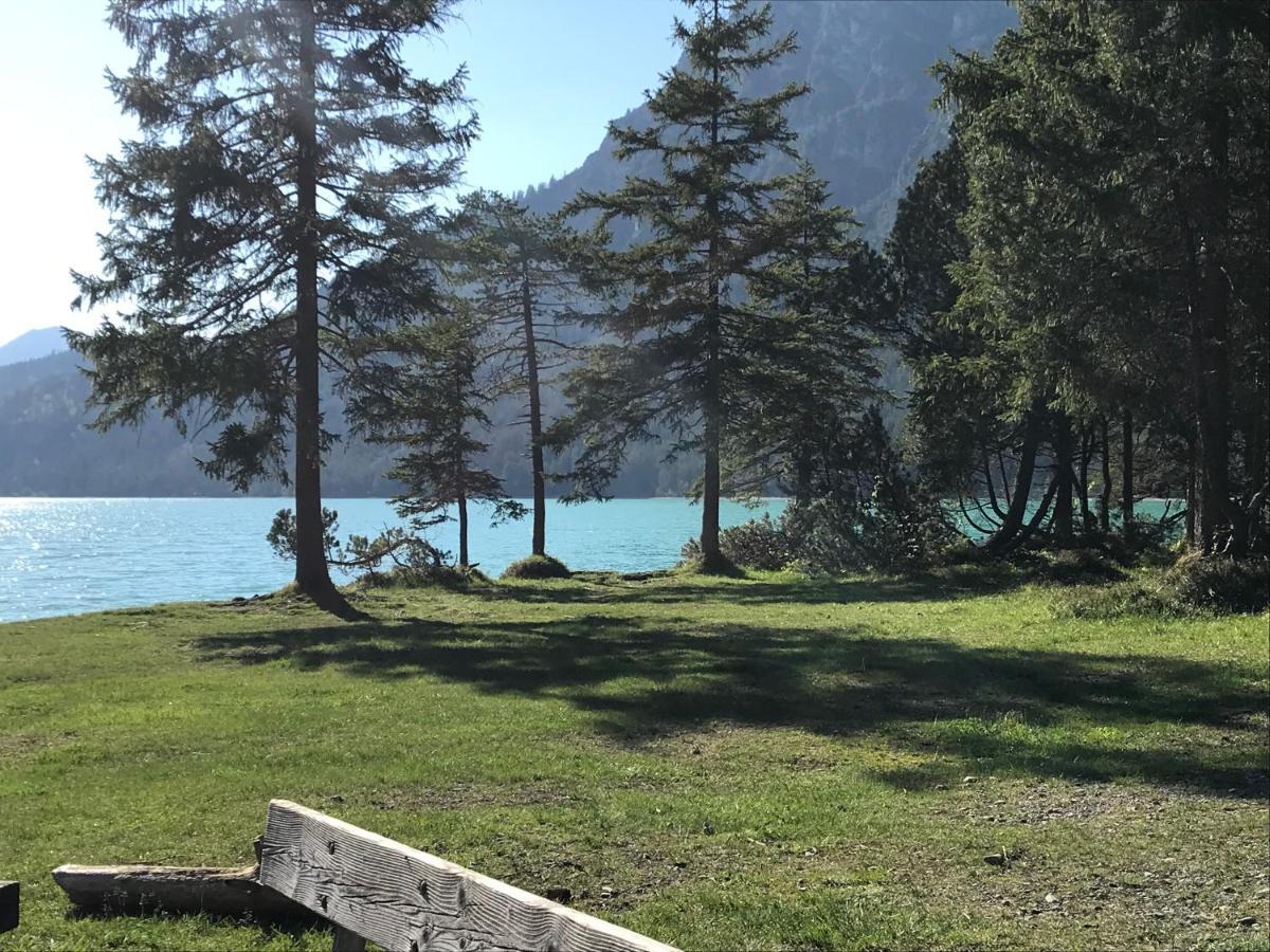 Pony-Ziegen-Hasen-Ranch Bichlbach Lägenhet Exteriör bild